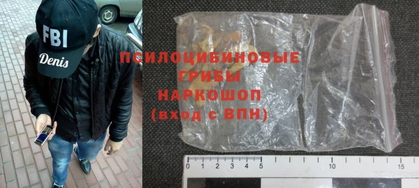 гашик Михайловка