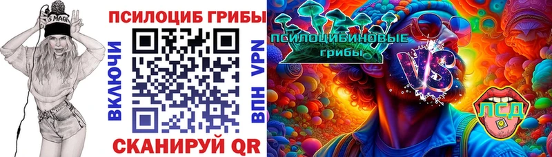 Галлюциногенные грибы Magic Shrooms  купить наркотики сайты  Кубинка 