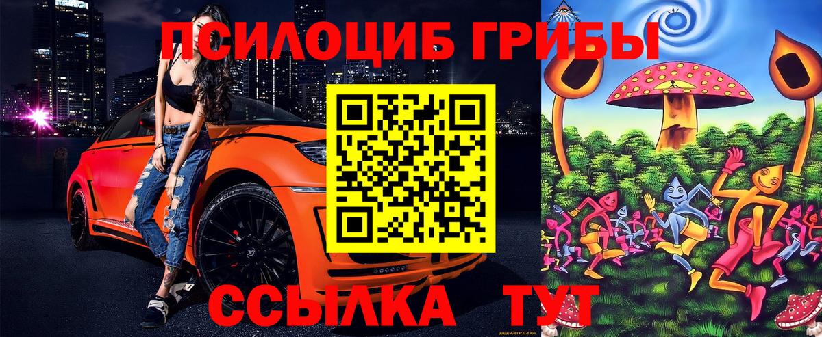 Кубинка  Псилоцибиновые грибы MAGIC MUSHROOMS  Вход с VPN  Псилоцибиновые грибы MAGIC MUSHROOMS 