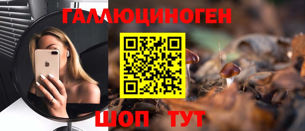 Псилоцибиновые грибы ЛСД Кубинка